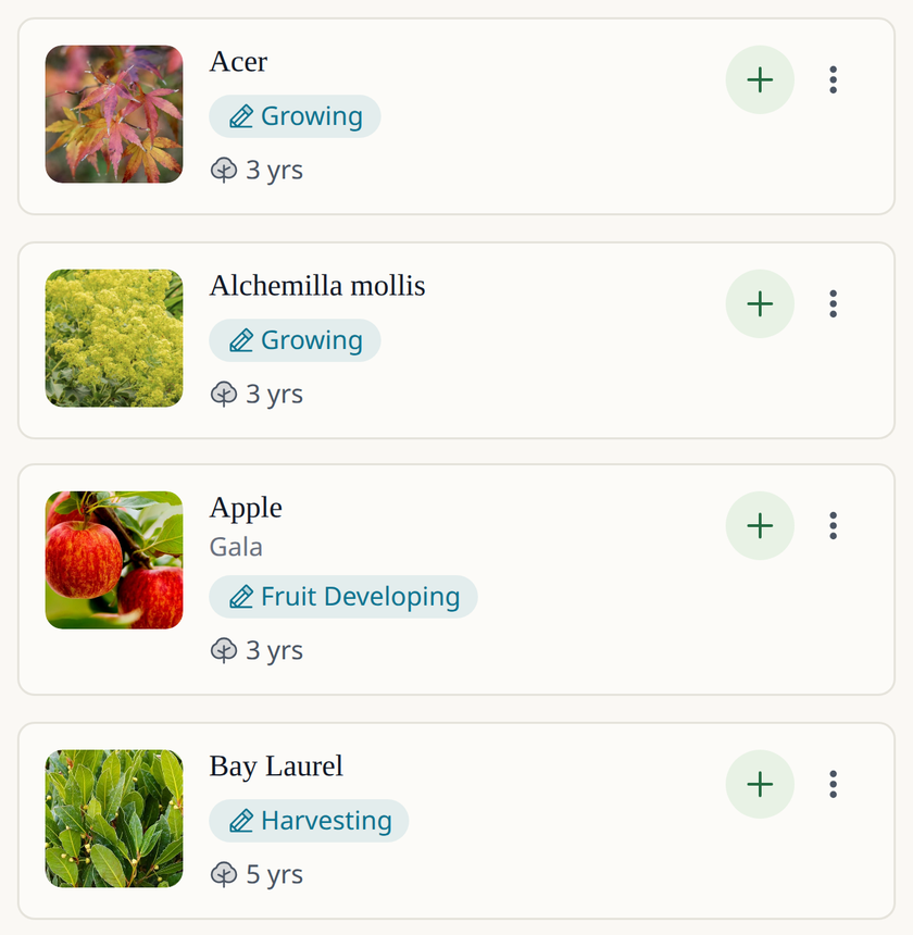Leaftide app screen: a list of permanent plants (an acer, lady's mantle, an apple tree and a bay laurel), each with its photo, current stage and age in years.