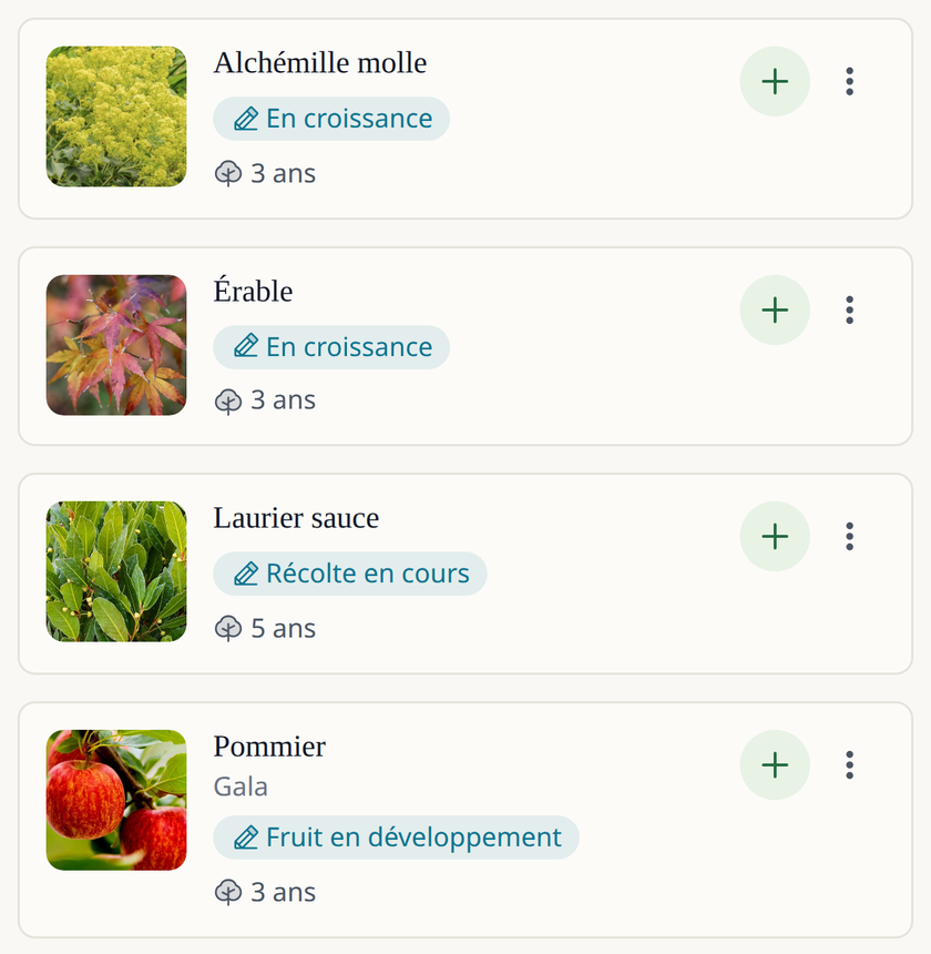 Écran de l'application Leaftide : une liste de plantes pérennes (un érable, de l'alchémille, un pommier et un laurier-sauce), chacune avec sa photo, son stade actuel et son âge en années.
