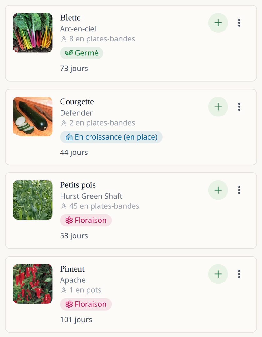 Écran de l'application Leaftide : une liste de légumes, dont des blettes, un piment, des courgettes et des petits pois, chacun avec sa photo et son stade actuel, comme germé ou en fleur.