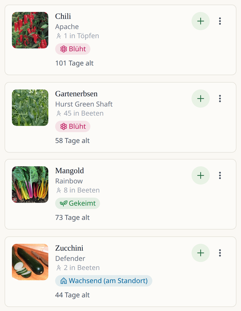 Leaftide-App-Ansicht: eine Liste von Gemüsepflanzen, darunter Mangold, Chili, Zucchini und Erbsen, jeweils mit Foto und aktueller Phase wie gekeimt oder blühend.