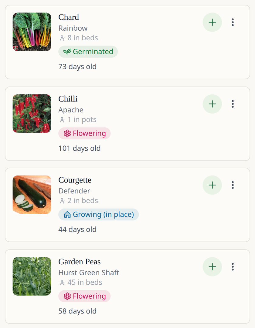 Leaftide app screen: a list of vegetable plants, including chard, chilli, courgette and garden peas, each with its photo and current stage, such as germinated or flowering.