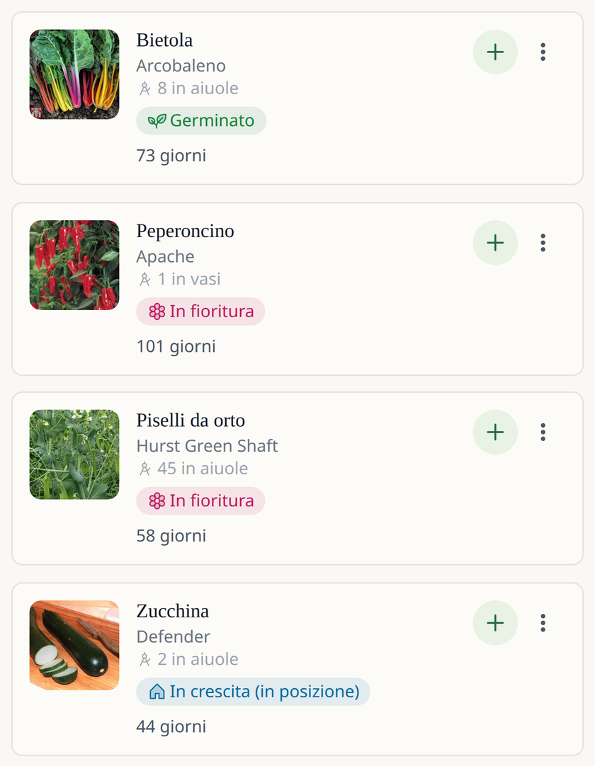 Schermata dell'app Leaftide: un elenco di ortaggi, tra cui bietola, peperoncino, zucchina e piselli, ciascuno con la sua foto e la fase attuale, come germogliato o in fiore.