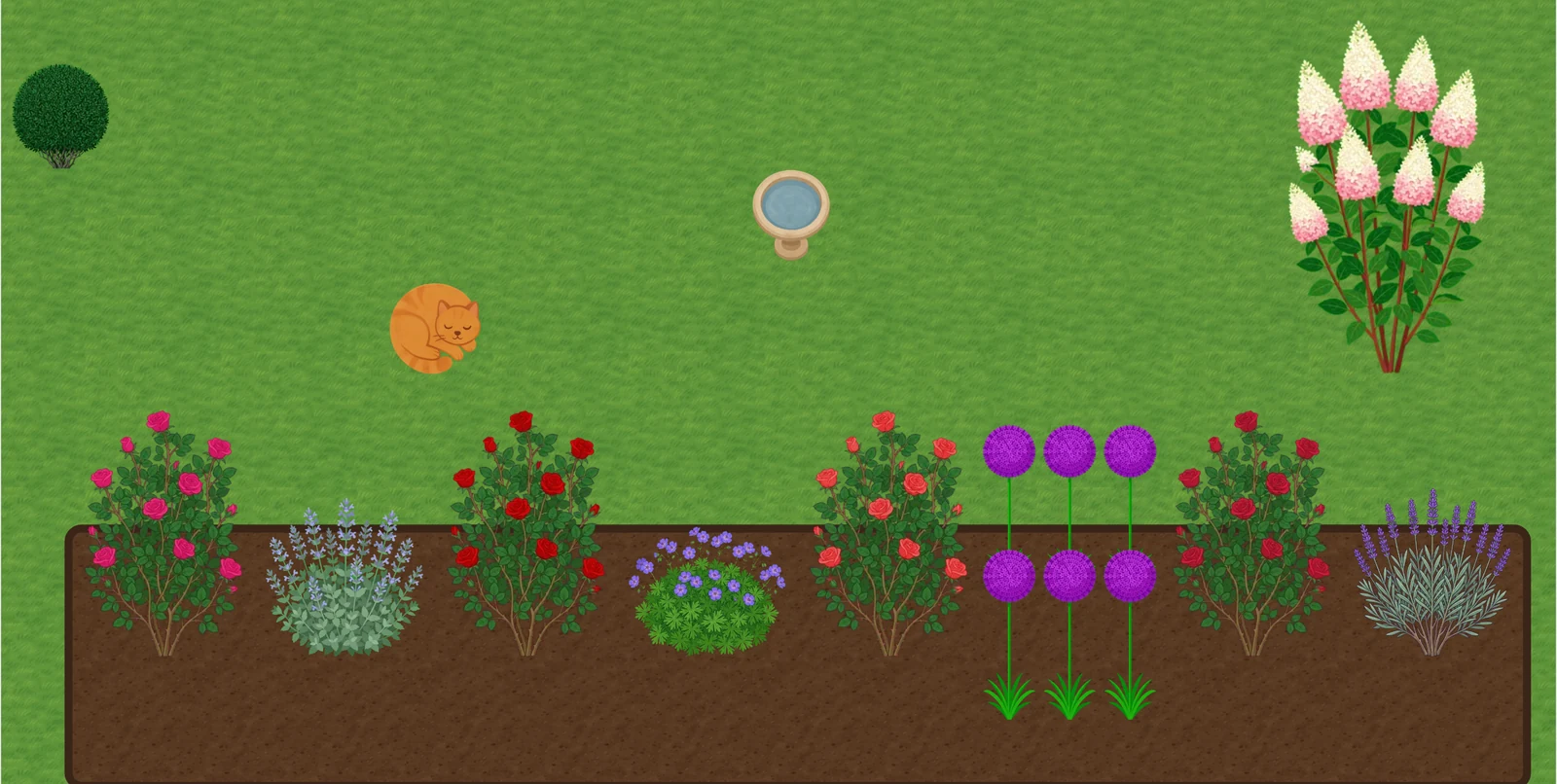 Planificateur de parcelle Leaftide montrant une plate-bande de rosiers avec de la népéta, des alliums et de la lavande entre les rosiers, et derrière, un hortensia et un bain d'oiseaux sur la pelouse.