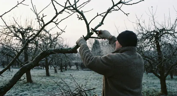 Registro di potatura degli alberi da frutto