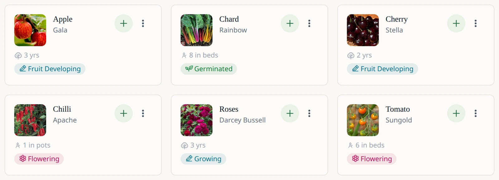 Leaftide-Pflanzenkarten für einen Apfel 'Gala', Mangold, einen Kirschbaum, eine Chili, Rosen und eine Tomate, jeweils mit Foto und aktueller Phase.