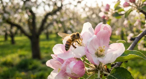 Gruppi di Impollinazione degli Alberi da Frutto Spiegati