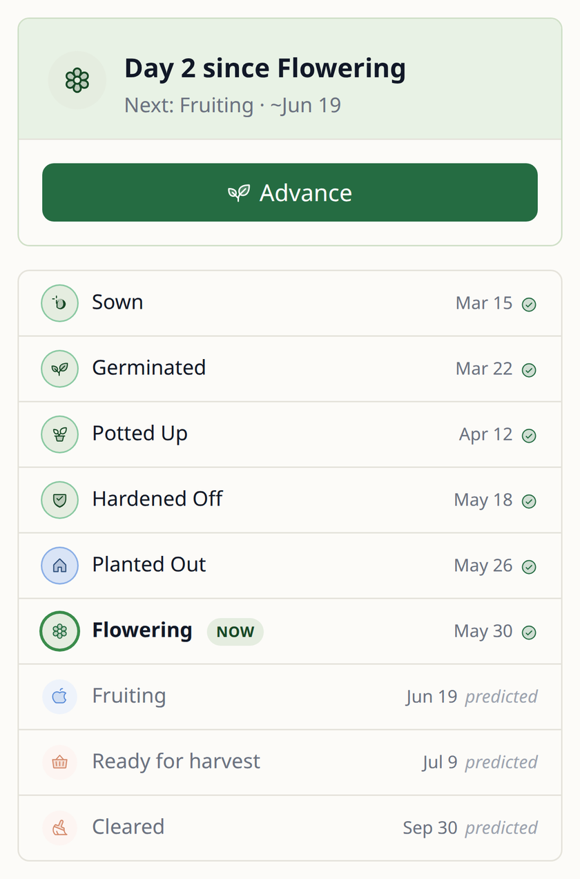 Lista de fases de un tomate en Leaftide: sembrado, germinado, trasplantado a maceta, endurecido, trasplantado al exterior y ahora en flor, con la fructificación prevista el 19 de junio, la cosecha el 9 de julio y la retirada el 30 de septiembre.