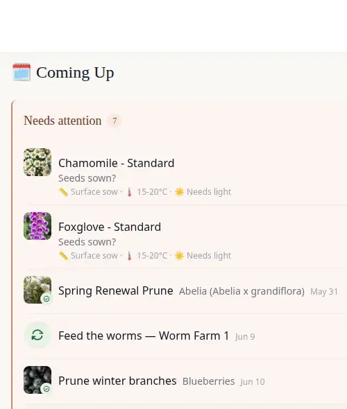 Coming Up dashboard showing prediction cards and care tasks together