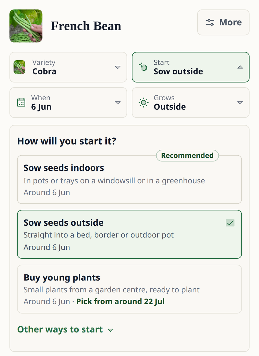 Leaftide demande comment démarrer un haricot vert : semer en intérieur (recommandé), semer dehors ou acheter des jeunes plants et cueillir à partir du 22 juillet environ.