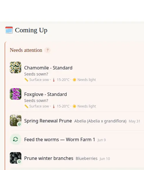 Coming Up dashboard showing prediction cards and care tasks together