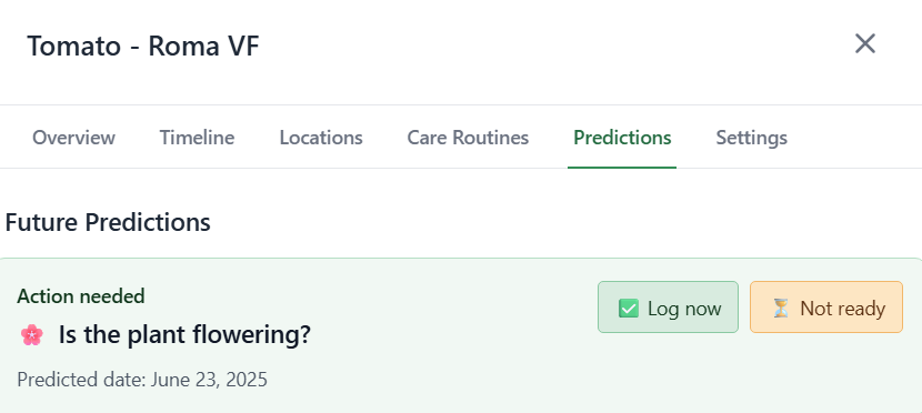 The garden reminder that made me actually look at my plants