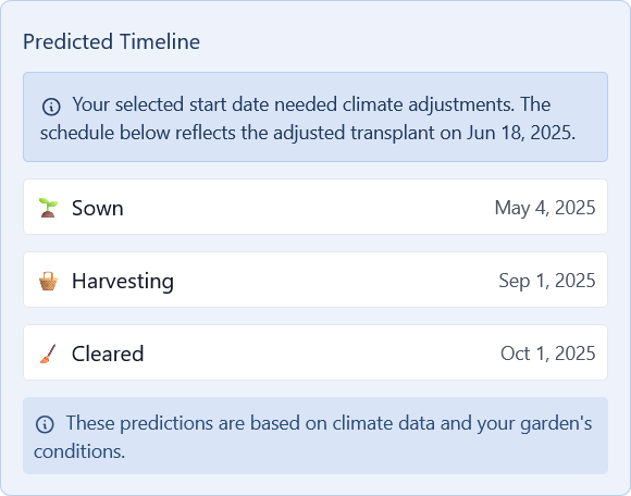 Timeline for tomatoes started outdoors showing later sowing and harvest dates